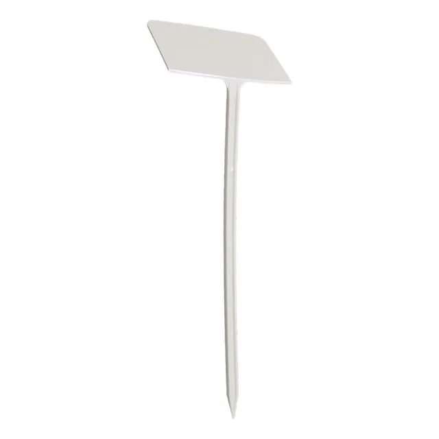 Display Label 32.5cm