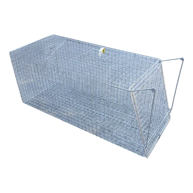 Trap Galvanised Wire for Feral Cat