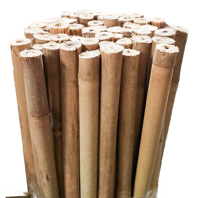 Bamboo Stakes 150cm