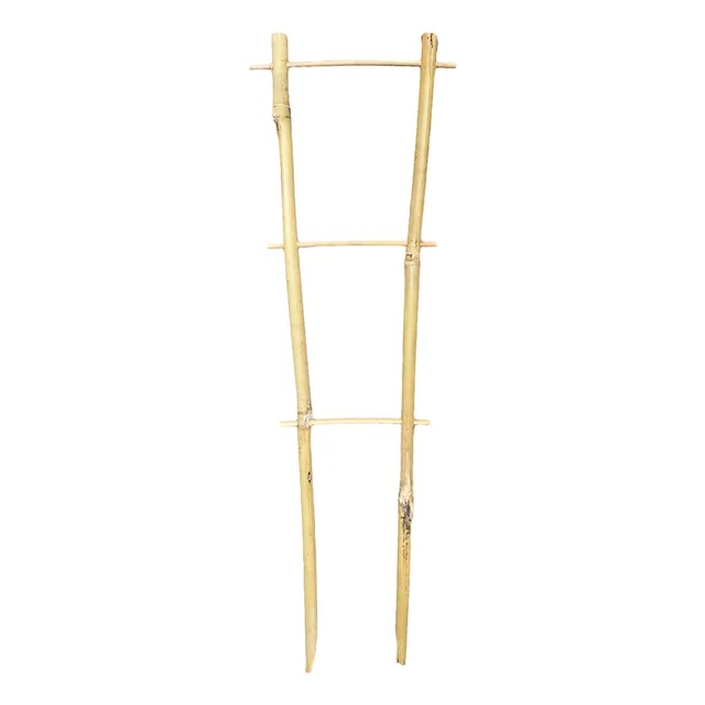Bamboo Plant Trainer 35cm