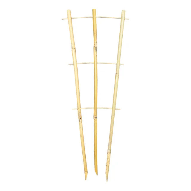 Bamboo Plant Trainer 45cm