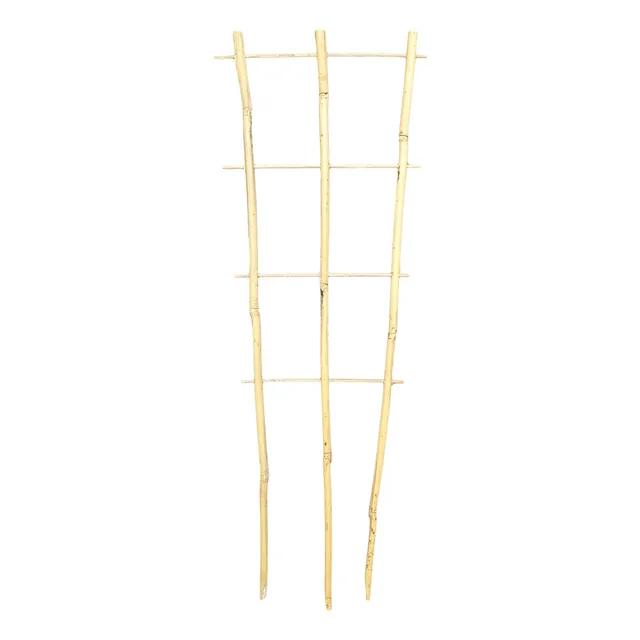 Bamboo Plant Trainer 60cm