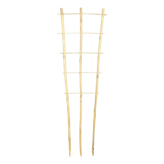Bamboo Plant Trainer 90cm