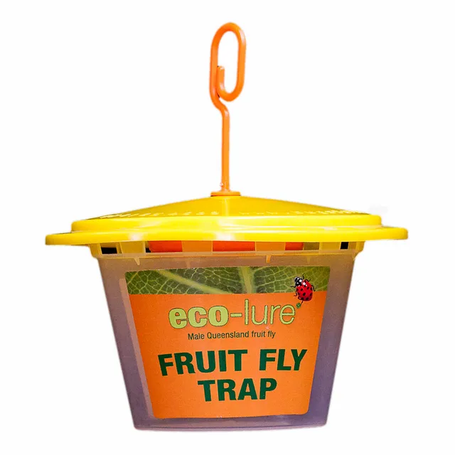 Eco Male Fruit Fly Trap