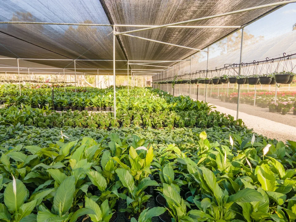 Vertical wall shadehouse built by EnviroTec at Caboolture QLD