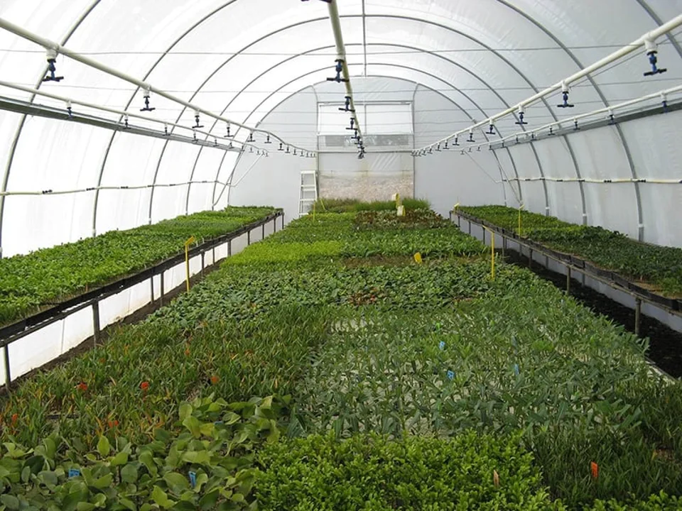 6 metre poly tunnelhouse hothouse by EnviroTec